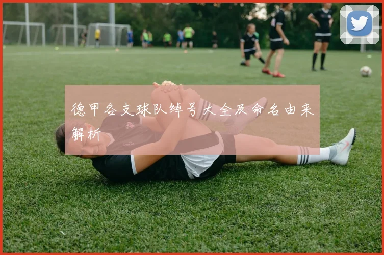 德甲各支球队绰号大全及命名由来解析