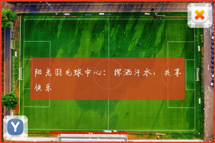 阳光羽毛球中心：挥洒汗水，共享快乐